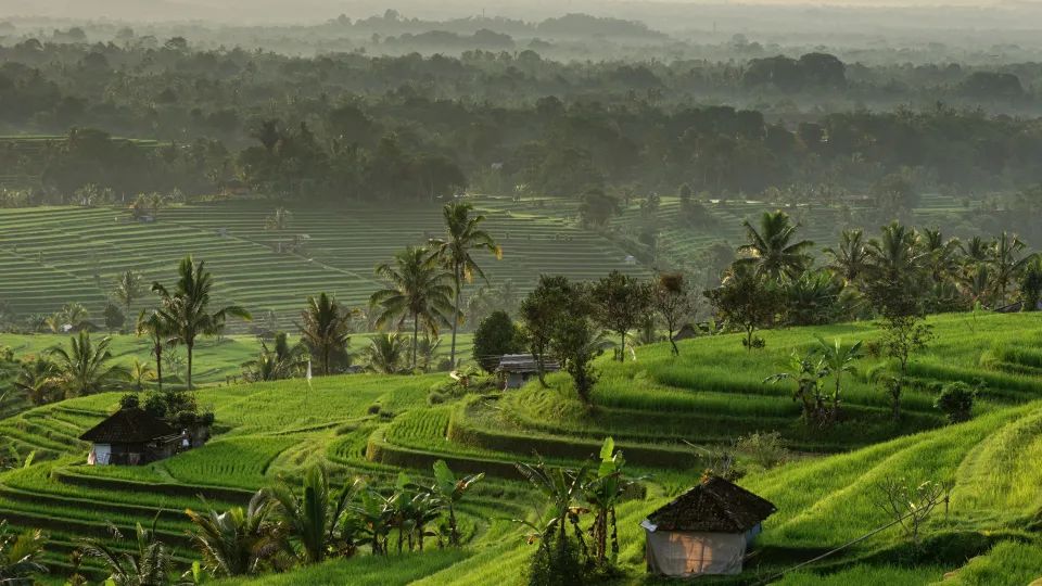 Background Desa Ngargosari